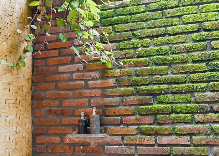 Nishiyama 2 In Singaraja مزرعة للإقامة