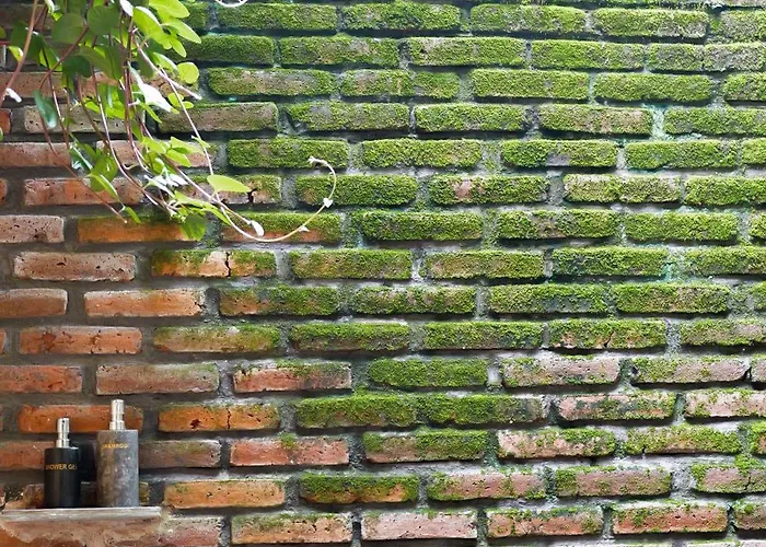 Nishiyama 2 In Singaraja مزرعة للإقامة