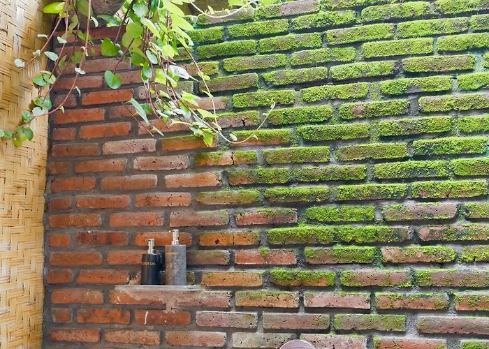 مزرعة للإقامة Nishiyama 2 In Singaraja *